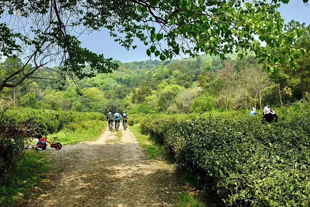 无锡江南古村,尧歌里古村入口景观工程