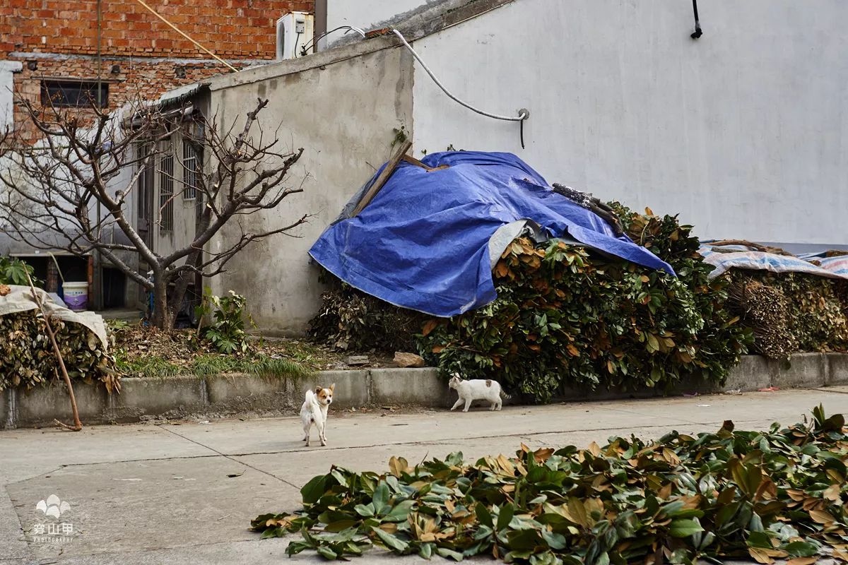 无锡江南古村,尧歌里古村入口景观工程
