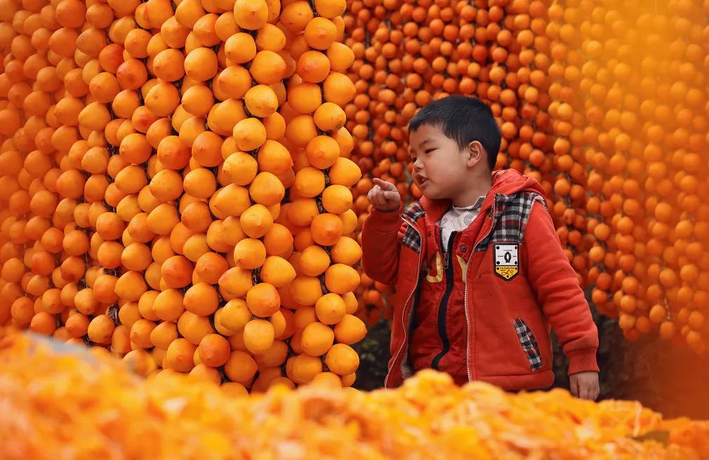 糖心柿饼软糯香甜,正宗富平流心柿饼黄色小包装