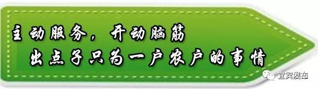 宜宾市国土自然资源厅,宜宾市国土资源局公示