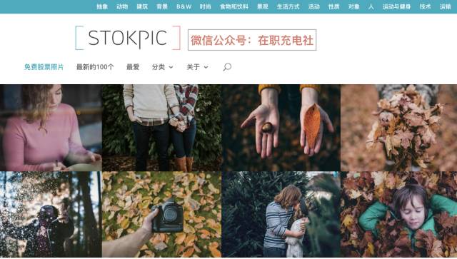 免费干货视频素材网,无版权无水印影视素材网站