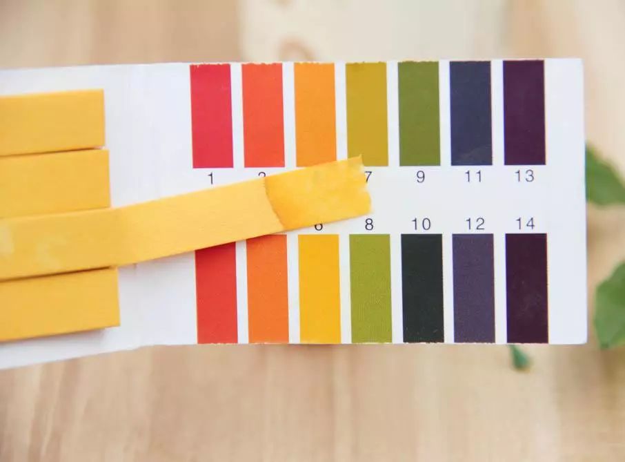 平价好用的洁面乳测评,国货洁面乳排行榜推荐