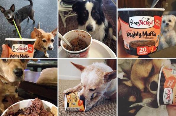 懒人减脂蛋糕,懒人蛋糕10秒学会不用任何科技