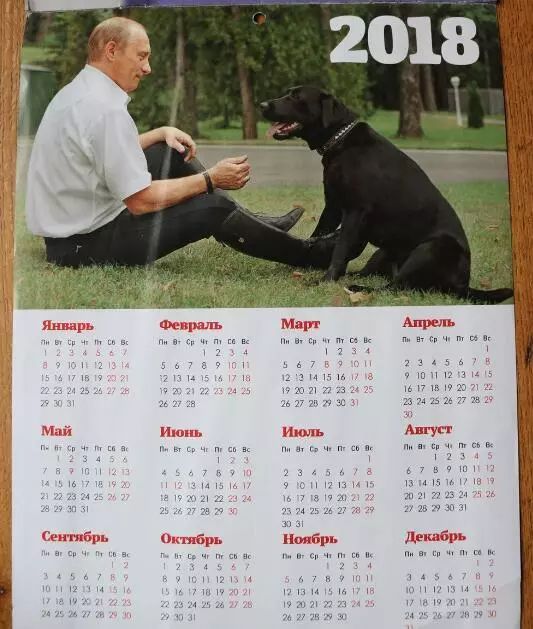 普京日历,普京和狗狗温馨图片
