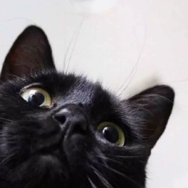 近100年每30秒售出一瓶？这些销量冠军我都想要！