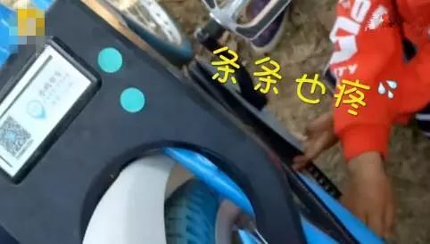 为什么要养布娃娃,养布娃娃会有灵性吗