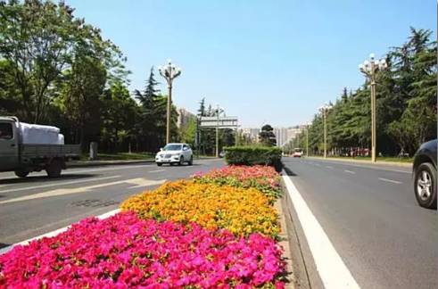 金牛心理测试,成都新规划