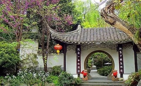 金牛心理测试,成都新规划