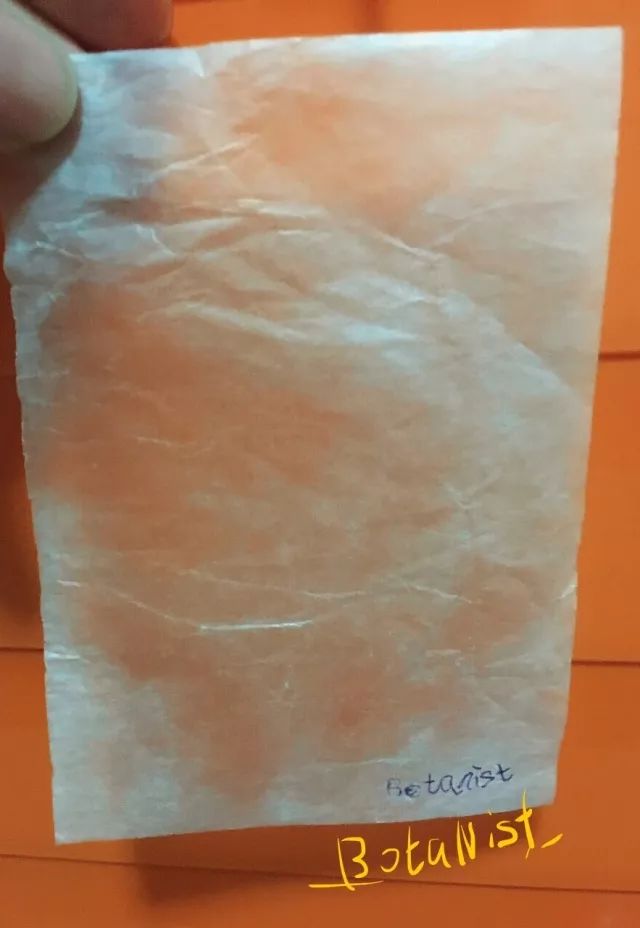 推荐几款不伤发的洗发水,颜究所洗发水推荐