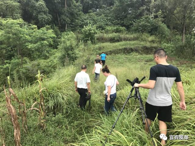 宜宾市国土自然资源厅,宜宾市国土资源局公示