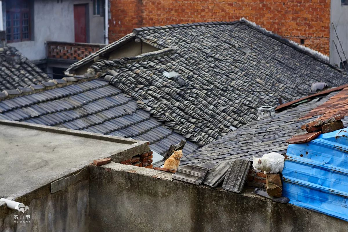 无锡江南古村,尧歌里古村入口景观工程