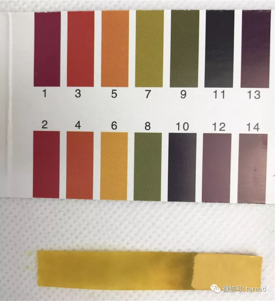 平价好用的洁面乳测评,国货洁面乳排行榜推荐