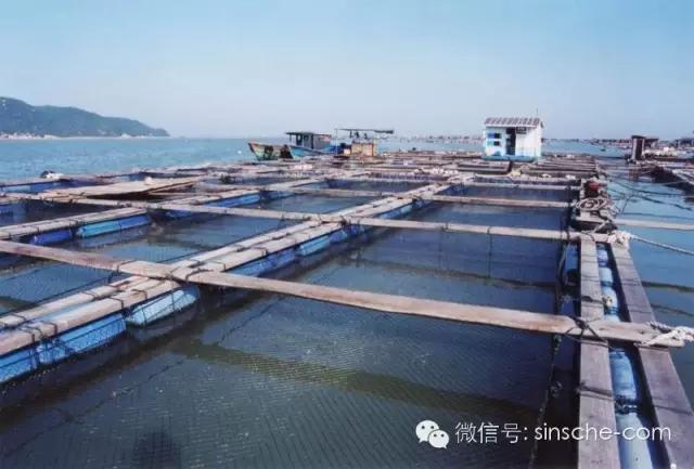 水产养殖对水体的五大指标有哪些,水产养殖各种指标什么意思