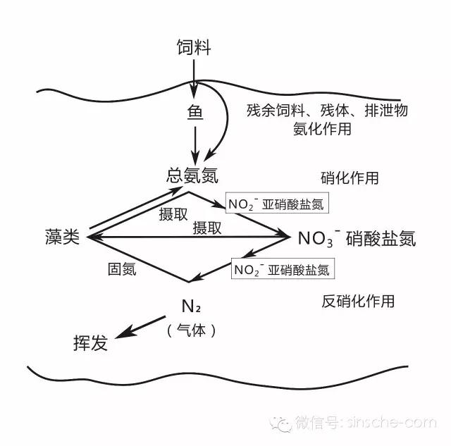 水产养殖对水体的五大指标有哪些,水产养殖各种指标什么意思