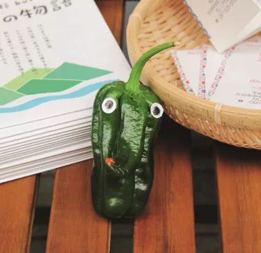 鍦扮嫳鏃呮父鎸囧崡,鍦扮嫳鏃呰鎸囧崡