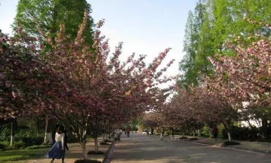 合肥的三个标志性建筑,合肥最具代表性的建筑