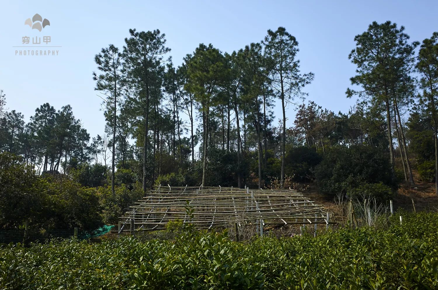 无锡江南古村,尧歌里古村入口景观工程