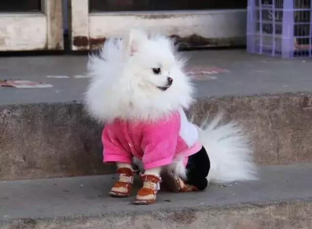 包头市老苏联楼在哪里,包头青山区苏联楼