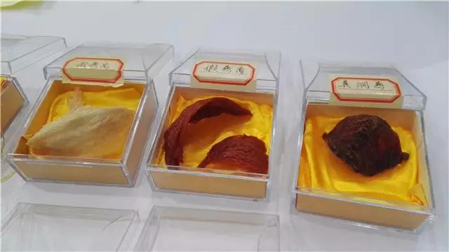 海味干货必备知识,海味干货全记