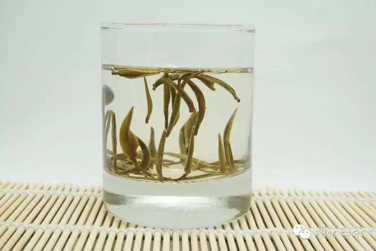 白茶的美句,白茶那么好你真的懂吗