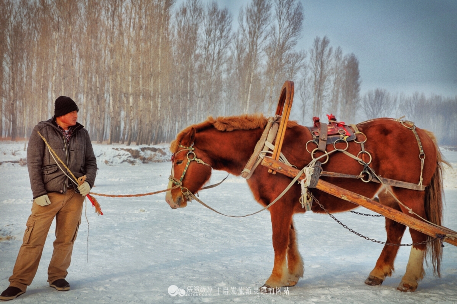 伏尔加庄园风情故事,哈尔滨俄式风情伏尔加庄园