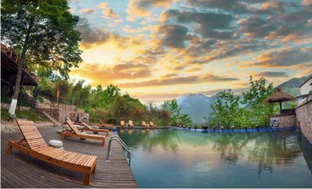 安吉山顶老树林,浙江安吉老树林