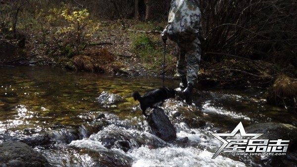 07式军靴和17式军靴对比,中国陆军07式军靴