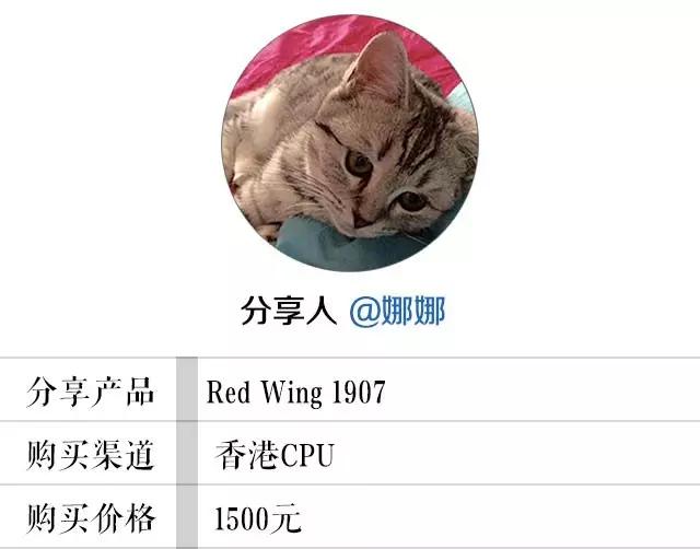 工装靴的性价比之王,当属红翼RedWing!