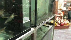 曼谷旅游攻略s5-12,曼谷旅游攻略之自由行安全吗