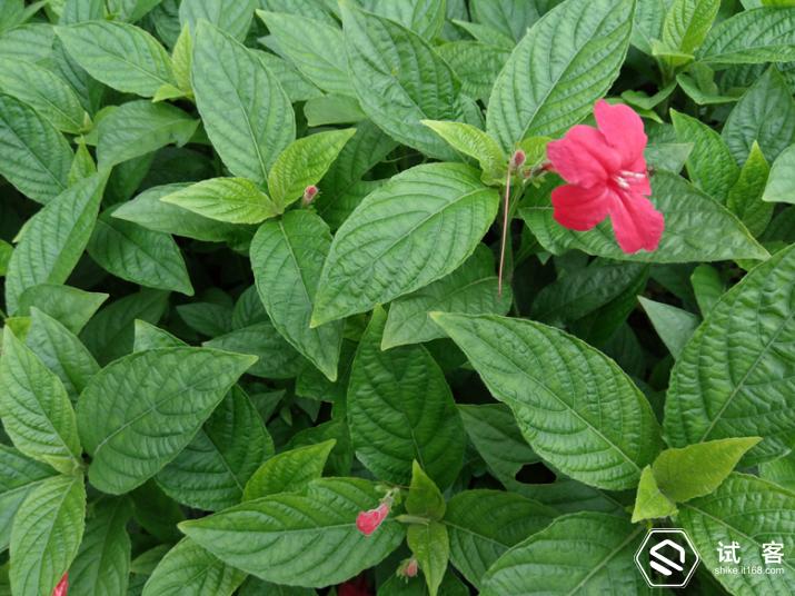 360手机f4s评测,360手机f4质量怎么样