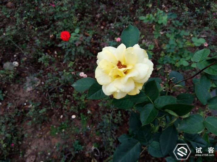 360手机f4s评测,360手机f4质量怎么样