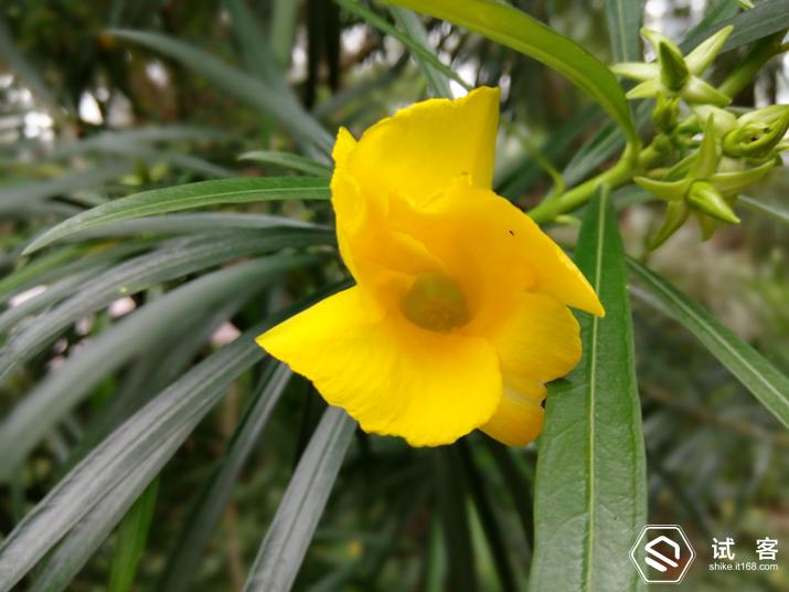 360手机f4s评测,360手机f4质量怎么样