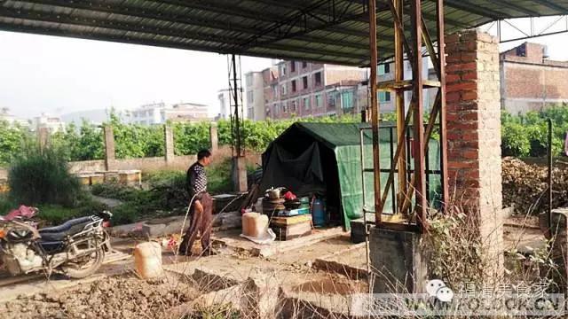 福清依巴扎根深山几十载,只为酿造原生纯蜜