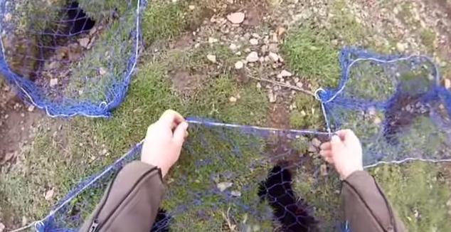 农场野兔,农场野兔泛滥