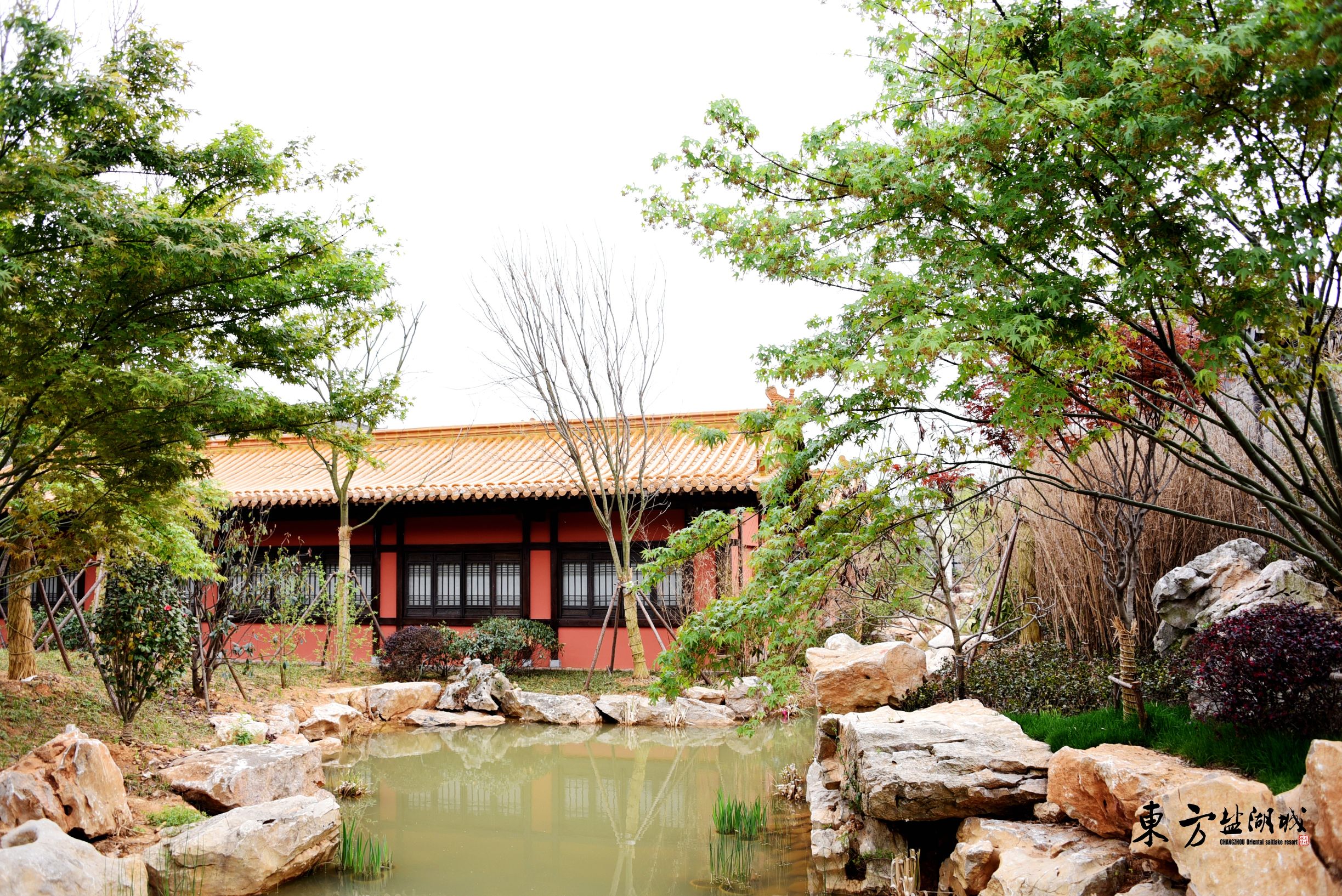 梦入桃花源现代版,梦入桃花源完整版