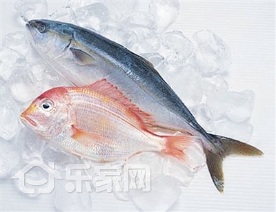 不可思议的冰箱,冰箱真的能养鱼吗