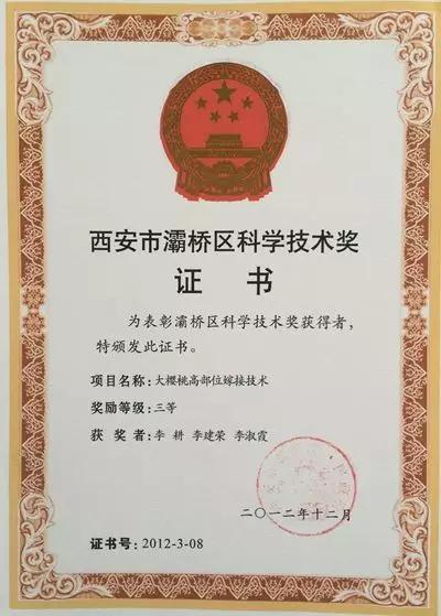 白鹿原采摘大樱桃,去白鹿原采摘樱桃