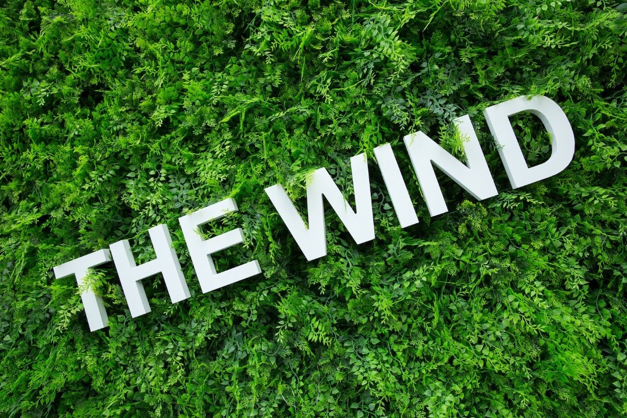 不当路人甲,不当路人甲头条