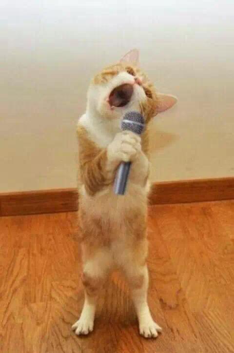 微信电商有哪些技巧方法,微信传统电商思路