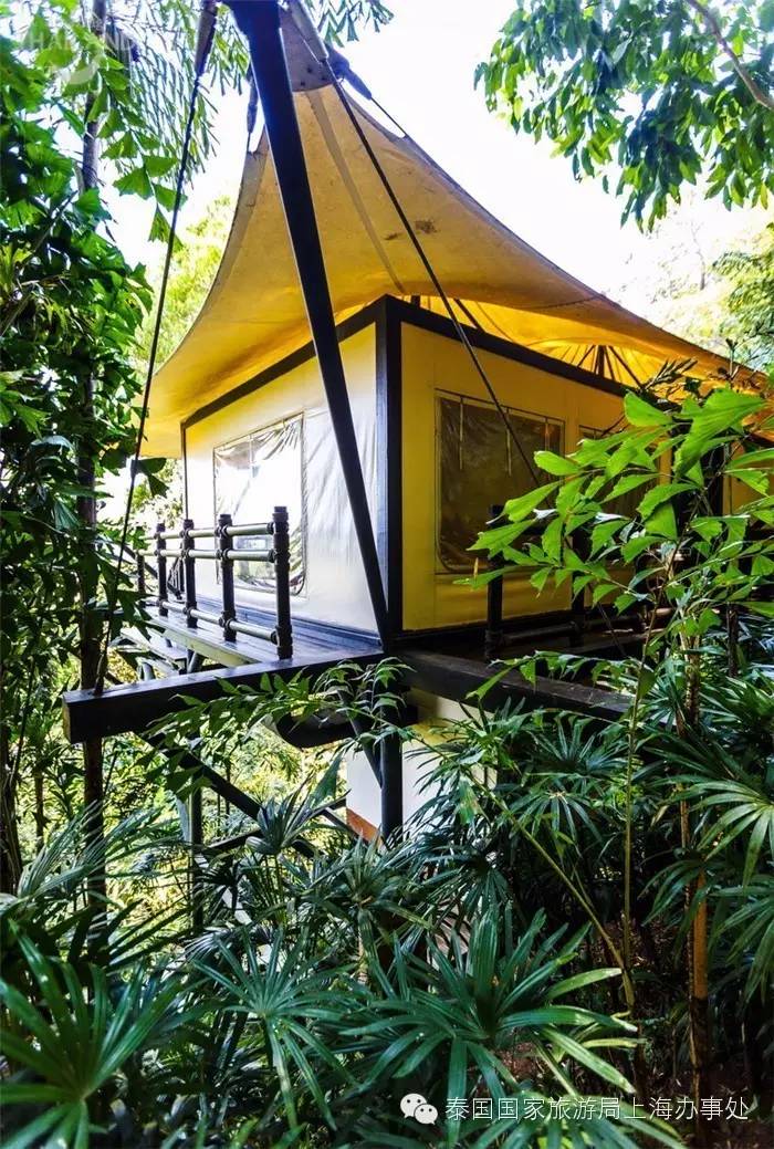 泰汇玩|这些酒店，为什么大家都喜欢？