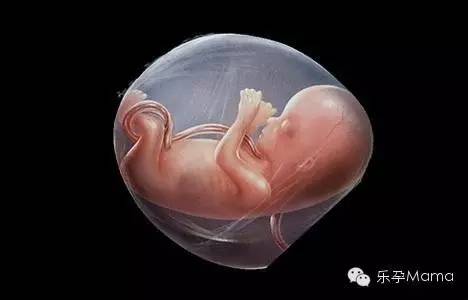 孕33周脐带绕颈一周矫正方法,孕期哪些习惯会导致脐带绕颈