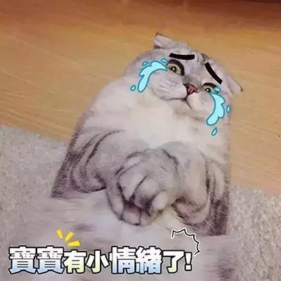 震惊！高明人居然俾呢十大家族控制住！