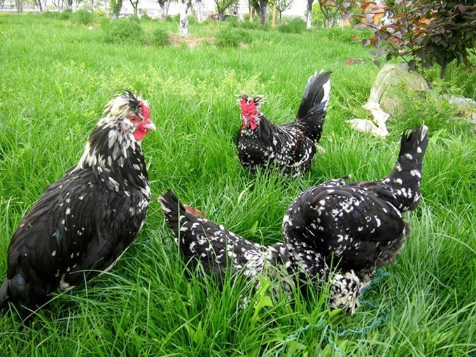 五一好去处~除了竹海善卷洞,宜兴的这些地方也很美~