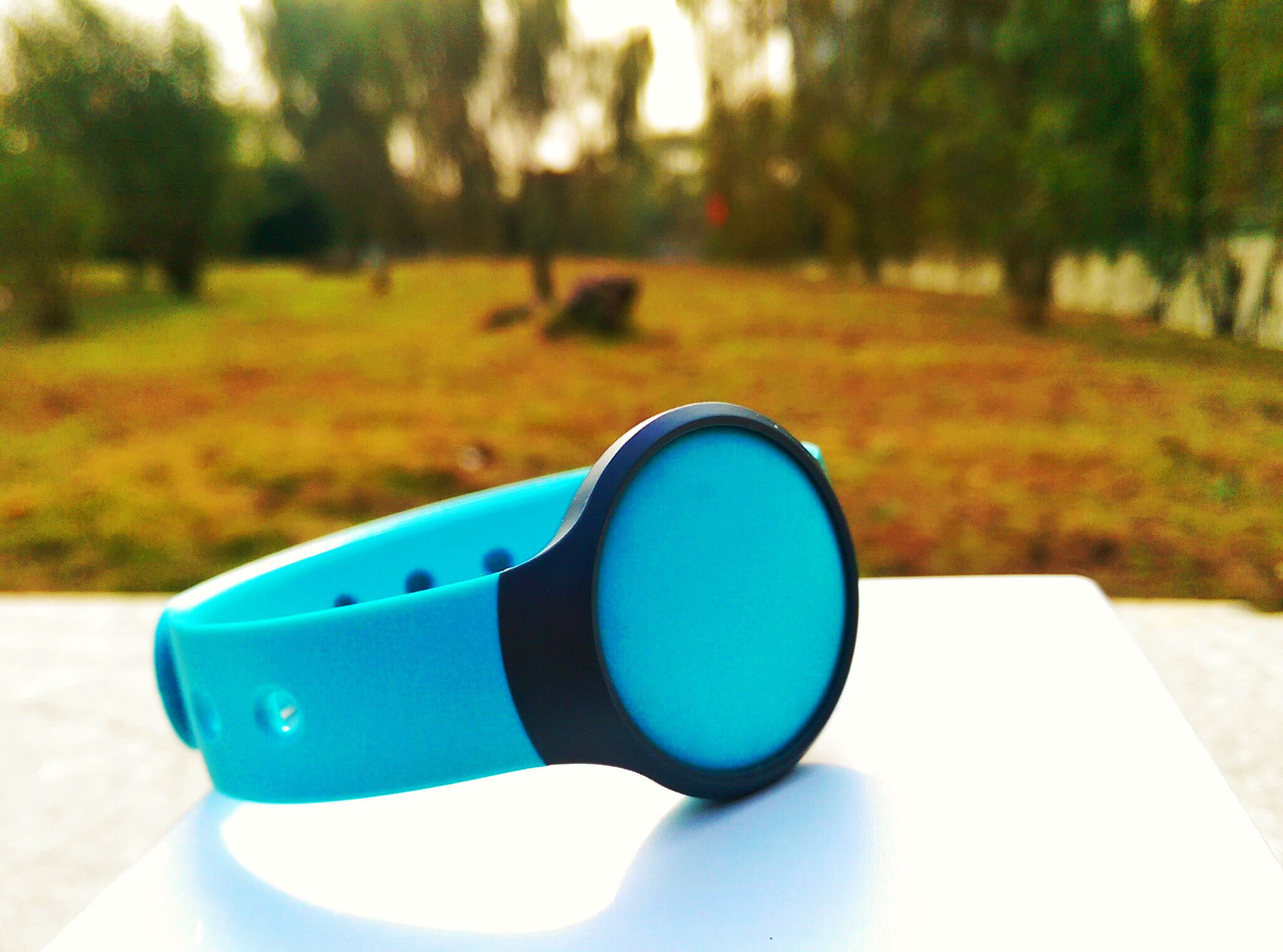 misfit测评,misfit品牌