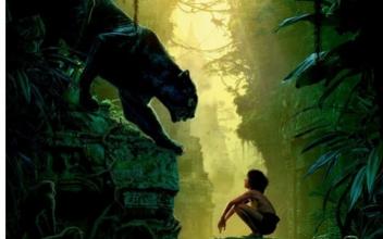 顺丰快递小哥事件怎么处理的,当年顺丰小哥被扇巴掌原因