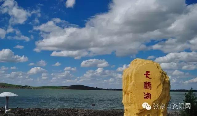 对不起,五一我就呆在张家口!别再约我了!