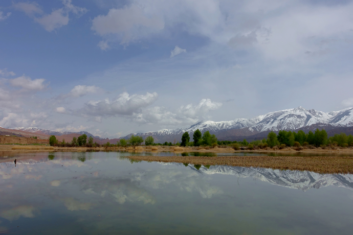 醉美四月天翻唱,醉美贵德