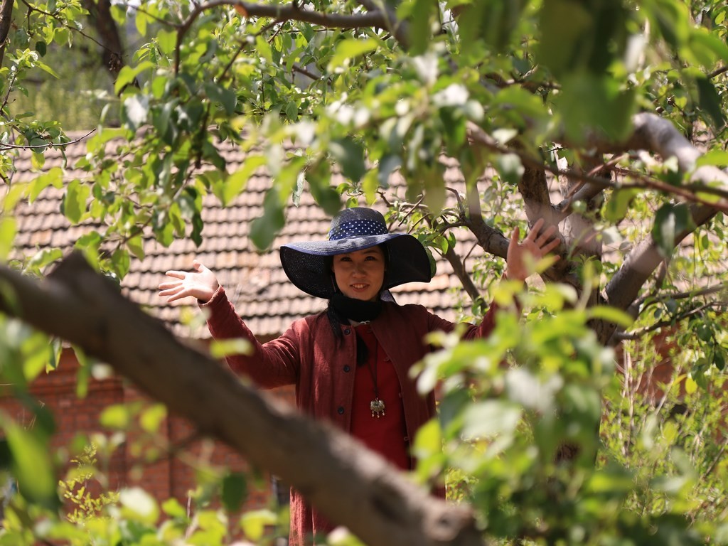 团贷网络,团贷网平台信息