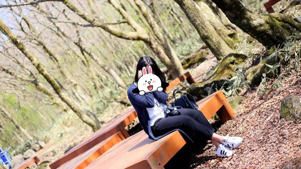 全过程记录，揭秘廉价济州岛跟团游背后的真相