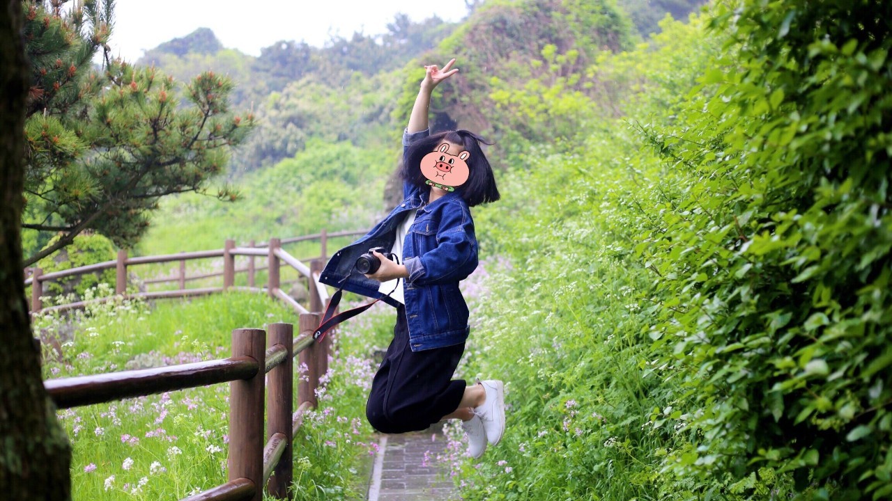 全过程记录，揭秘廉价济州岛跟团游背后的真相